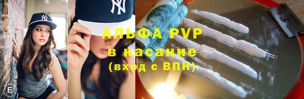 PSILOCYBIN Арсеньев